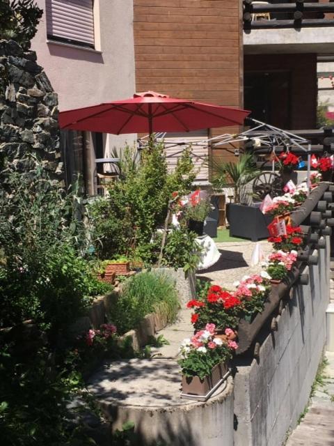 Bodmen 3 Apartments Von Privat In Zermatt अपार्टमेंट Zermatt